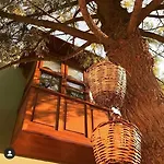 Zevkliler Bed and Breakfast 3*