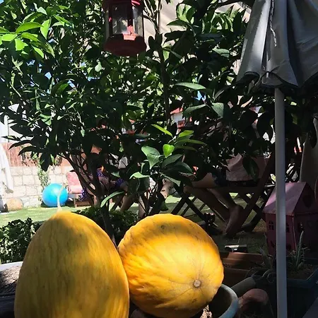 Zevkliler Oda ve Kahvaltı Alaçatı