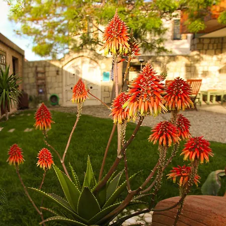 Zevkliler 3* Alaçatı