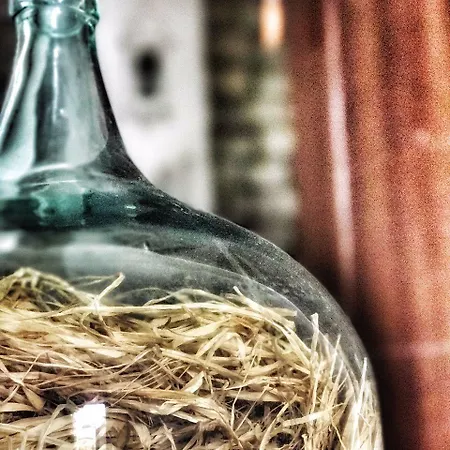 Zevkliler 3* アラカティ