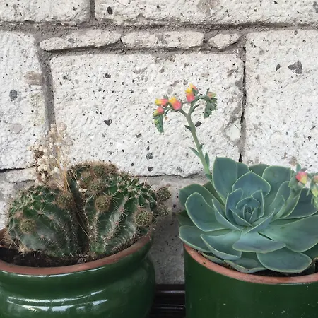 Zevkliler ベッド・アンド・ブレックファスト