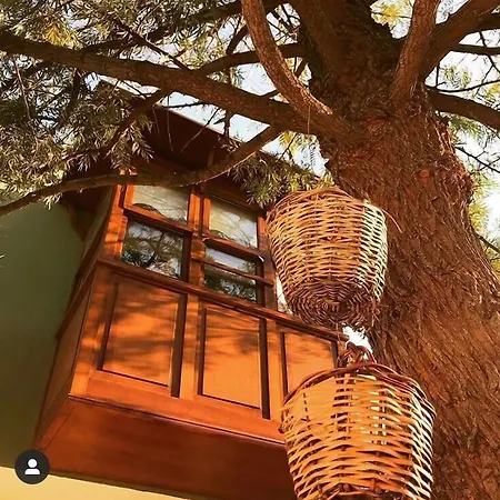 Zevkliler Bed & Breakfast 3*