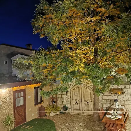 ベッド・アンド・ブレックファスト Zevkliler アラカティ