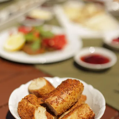 ベッド・アンド・ブレックファスト Zevkliler