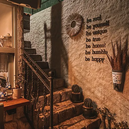 Zevkliler アラカティ