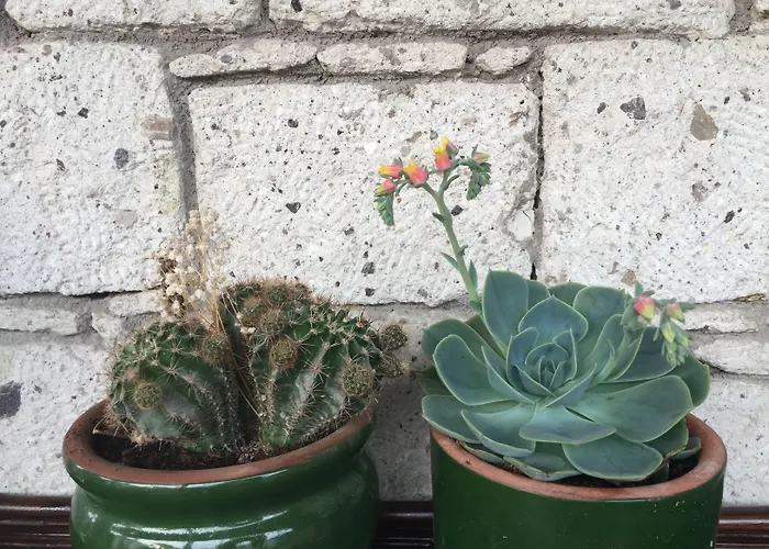 Zevkliler Bed & Breakfast